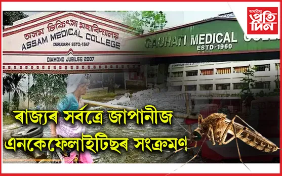 বৃদ্ধি পাইছে জাপানীজ এনকেফেলাইটিছৰ সংক্ৰমণঃ কেইবাজনৰো মৃত্যু, আক্ৰান্তৰ অধিকাংশই শিশু, কিশোৰ...  